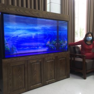 Thiết kế bể cá cho nhà chị Nhài Số 6 Ngõ 37 Nguyễn Thị Định