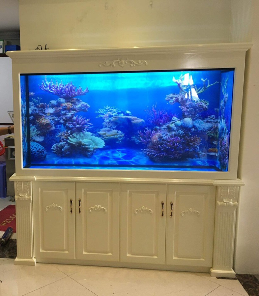 Bể Cá Phong Thủy