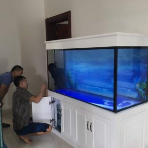 Cách đặt bể cá hợp phong thủy mang tài lộc cho gia chủ