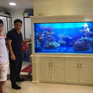 Hồ cá rồng là một điểm nhấn cho một không gian đẳng cấp