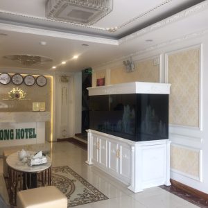 Bể thủy sinh cây thật với thiết kế với bố cục tiểu cảnh đa dạng