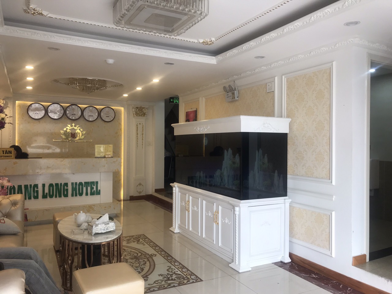 Bể thủy sinh cây thật với thiết kế với bố cục tiểu cảnh đa dạng