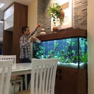 Thiết kế bể thủy sinh như thế nào cho đẹp