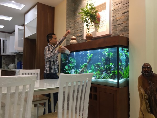 Thiết kế bể thủy sinh như thế nào cho đẹp