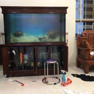 Thiết kế bể cá nhà anh Kiên Thị Trấn Phú Xuyên Hà Nội