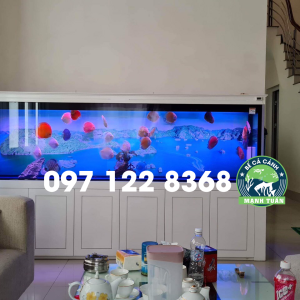 Thi công bể cá rồng nhà anh Lượng Phủ Lý Hà Nam