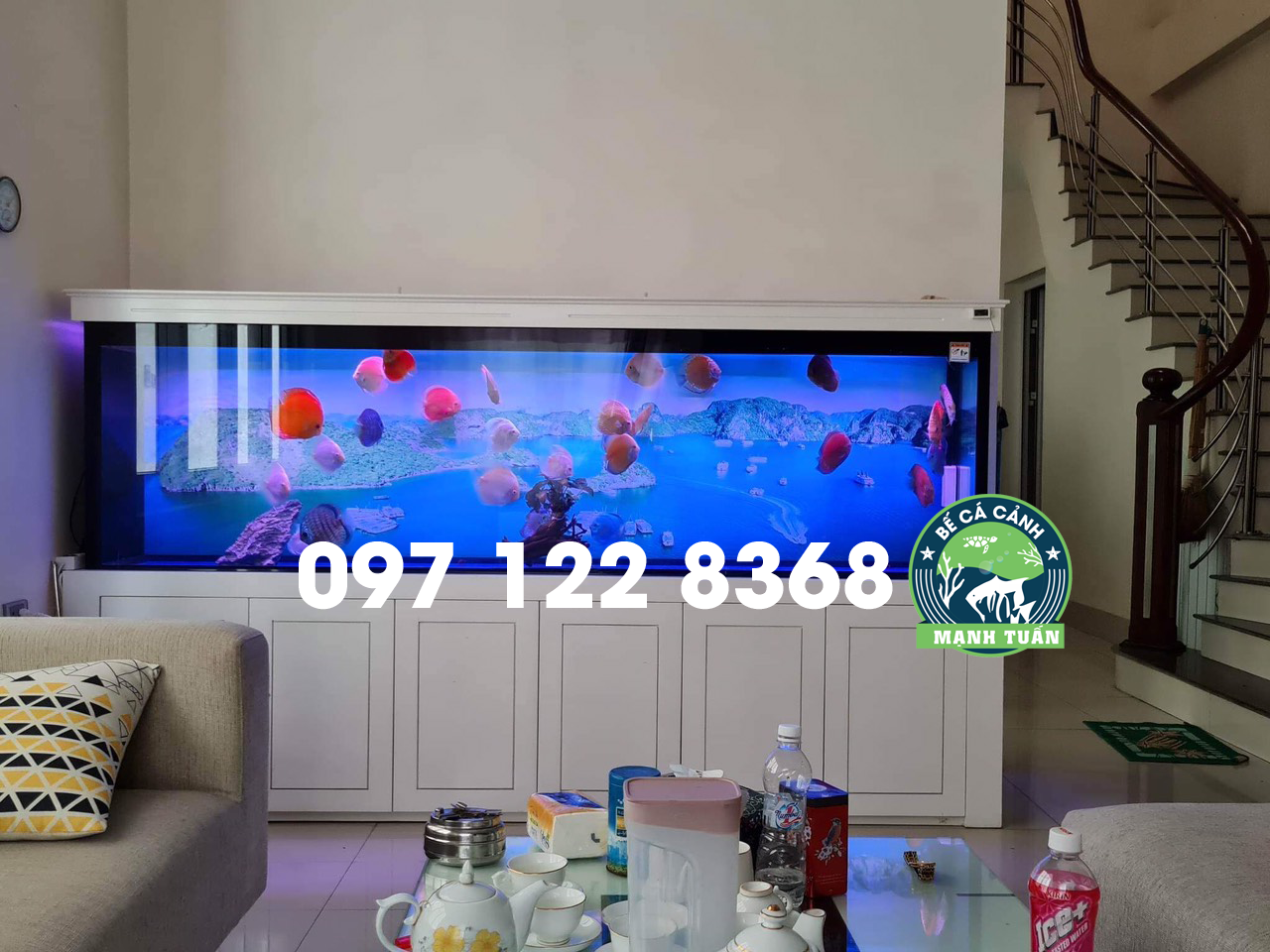 Thi công bể cá rồng nhà anh Lượng Phủ Lý Hà Nam