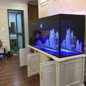 Bể cá nhà anh Hoàn chung cư Thăng Long Thiên đường Bảo Sơn