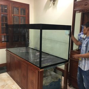 Thi công bể cá cho nhà anh Hưng ngõ 678F Đường Láng