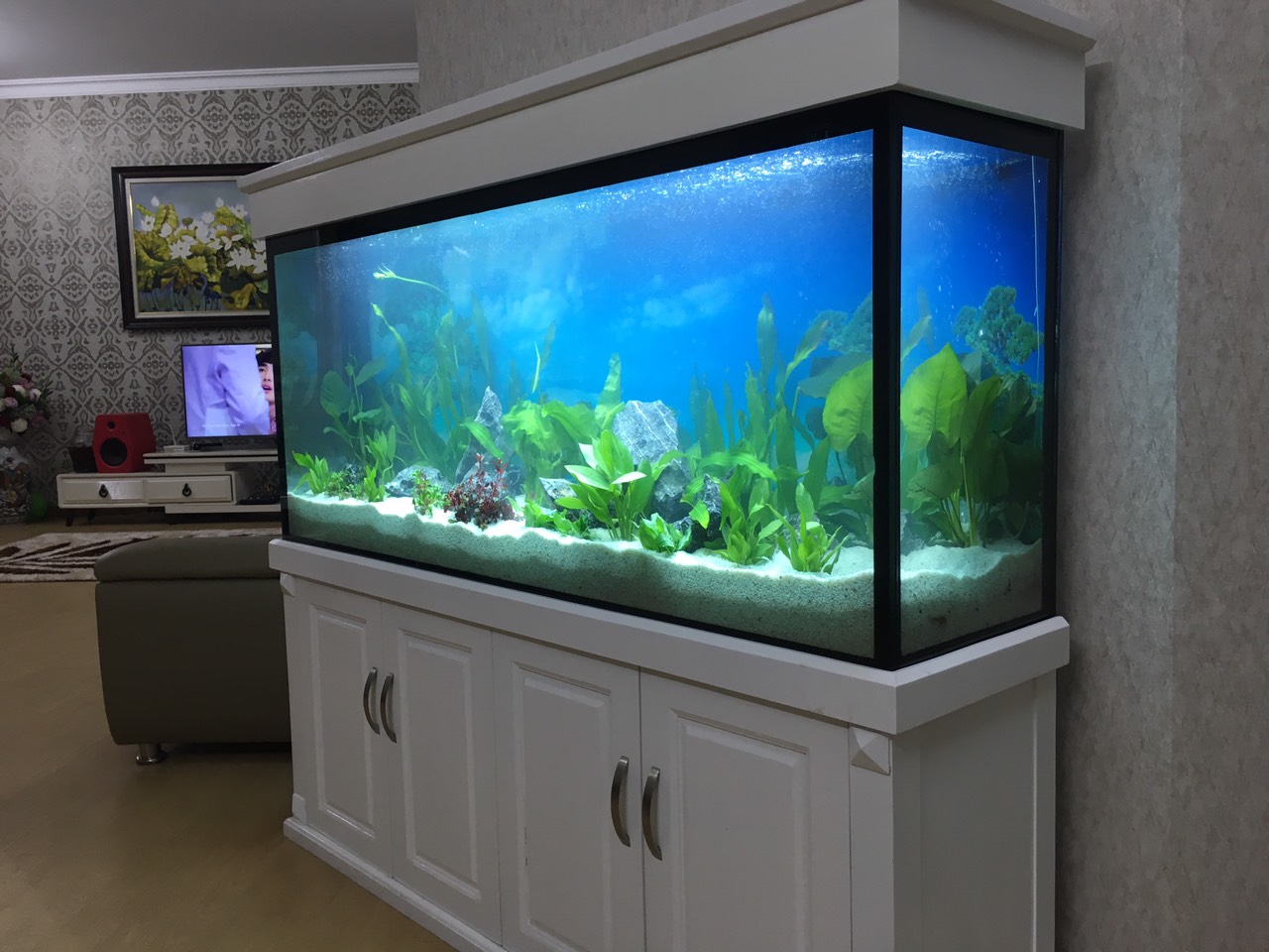 Thi công bể cá cho nhà Anh Hùng ở chung cư Đại Thanh Cầu Tó