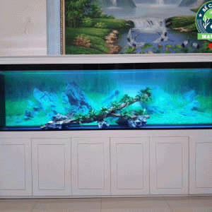 Thi công bể cá nhà anh Lượng thành phố Phủ Lý Hà Nam