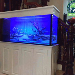 Thiết kế bể cá hút mặt hút đáy nhà em Hiếu Hoàng Quốc Việt