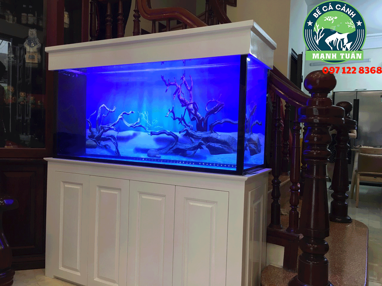 Thiết kế bể cá hút mặt hút đáy nhà em Hiếu Hoàng Quốc Việt