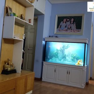 Thi công bể cá nhà anh Linh chung cư CT2A Sala Hà Đông