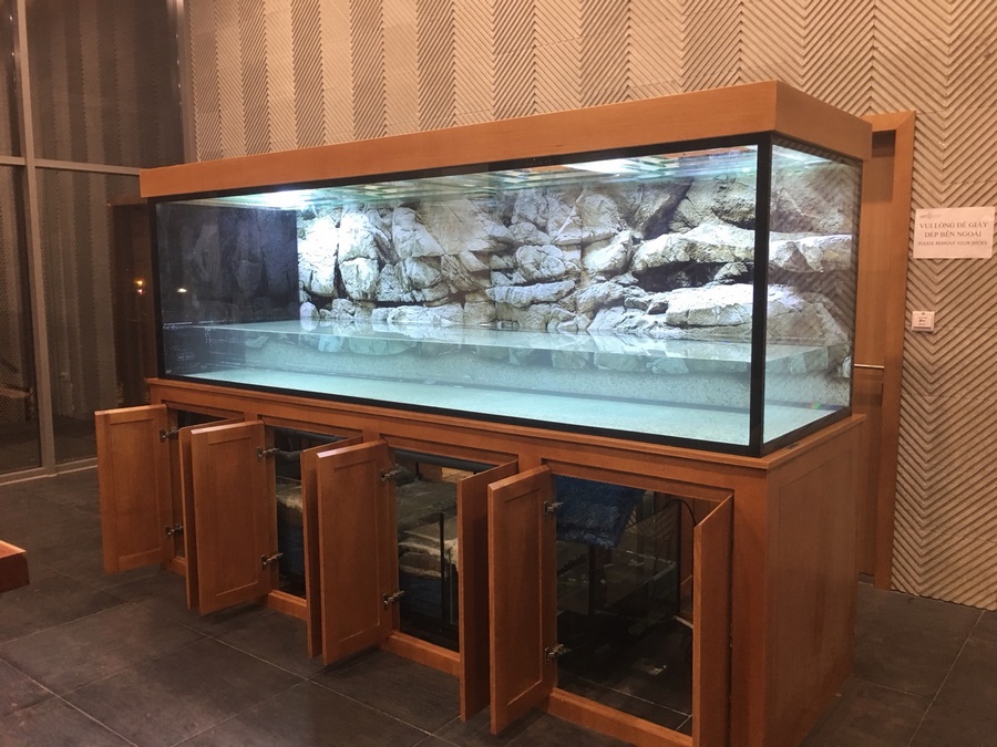Thiết kế bể cá nhà anh Thắng Thanh Xuân Hà Nội