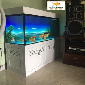 Thiết kế bể cá rồng nhà anh Sơn Quốc Oai Hà Nội