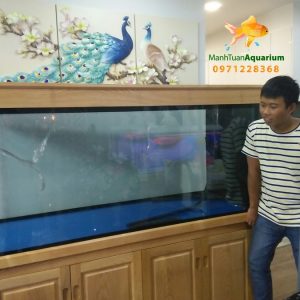 Thiết kế bể cá nhà anh Trung tại chung cư Nguyễn Tuân
