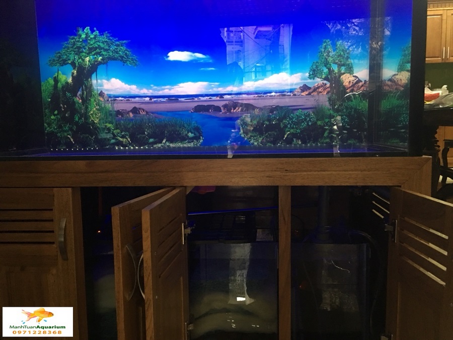 Thiết kế bể cá nhà anh Tuấn ở Trần Điền Lê Trọng Tấn
