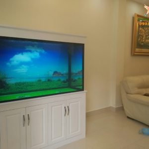 Thi công bể cá cho chị Hương nhà bán đảo Linh Đàm