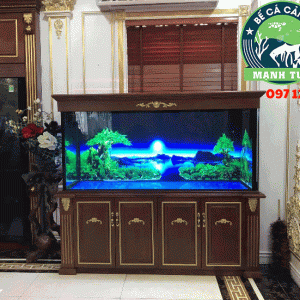 Thi công bể cá cho nhà chị Huyền biệt thự Mỹ Đình