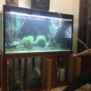 Thiết kế bể cá nhà chú Dũng tại phố Thái Hà