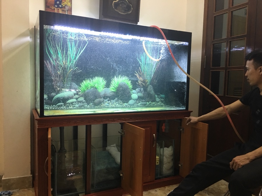 Thiết kế bể cá nhà chú Dũng tại phố Thái Hà