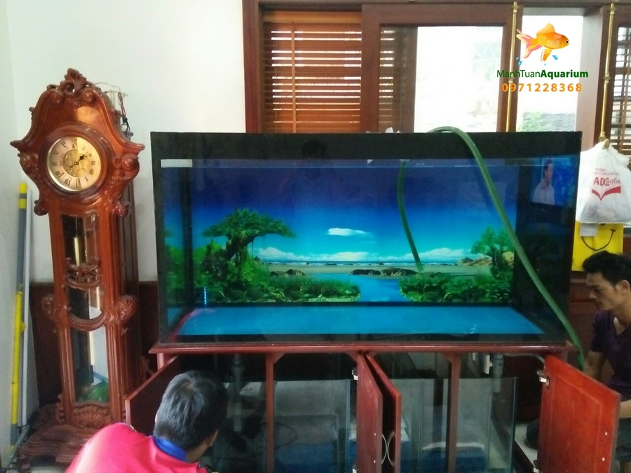 Thiết kế bể cá rồng cho nhà chú Lãm tại Biệt thự Mỹ Đình