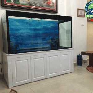 Thiết kế bể cá cho nhà chú Lương ở Dịch Vọng Cầu Giấy