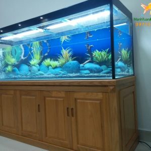 Thiết kế bể cá tại phòng khám Tâm An đường Nguyễn Văn Huyên