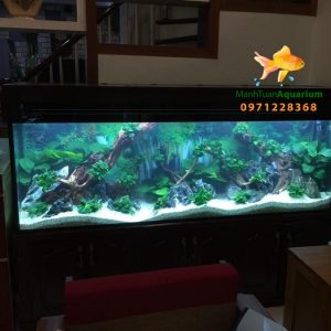 Thiết kế bể thủy sinh cao cấp nhà anh Cường Hà Nội
