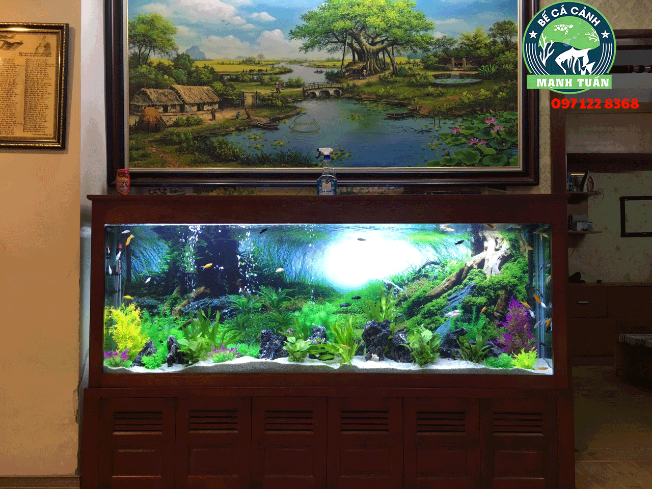 Bể cá thủy sinh nhà chị Nhân ở Sala Hà Đông