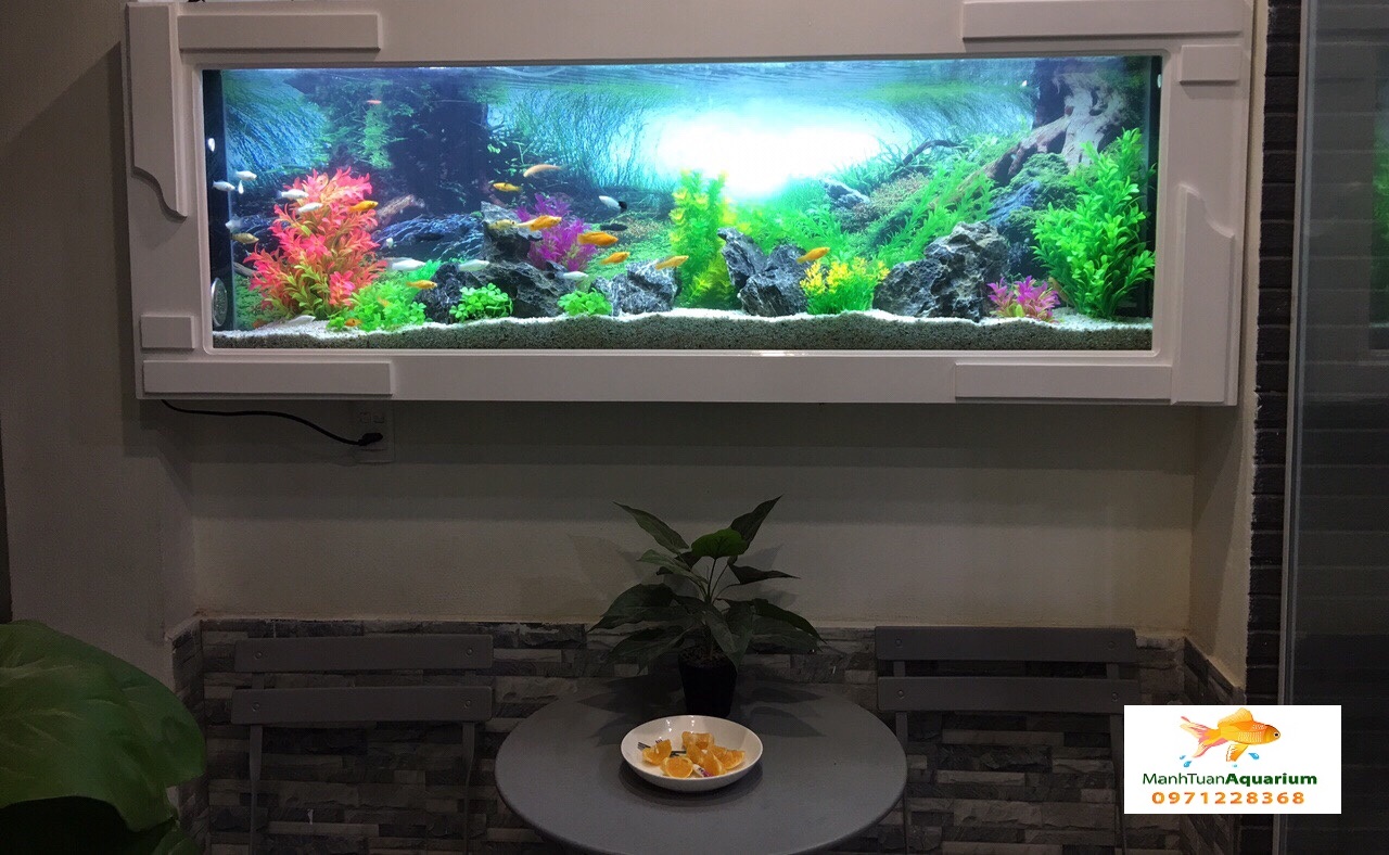 Bể cá treo tường ốp gỗ nhà chị Minh