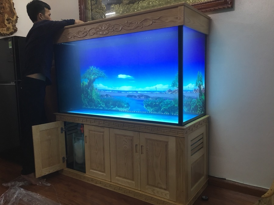 Mẫu bể cá nhà anh Huy làm toà án tối cao chất lượng cao - đẹp