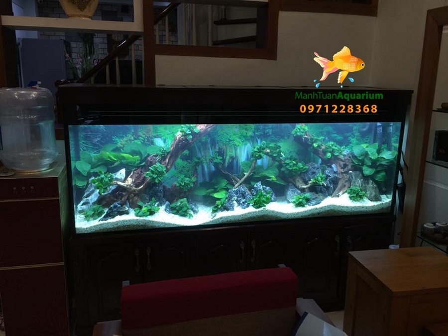 Bể thủy sinh nhà Anh Cường Làng Việt Kiều Châu Âu Tây Mỗ