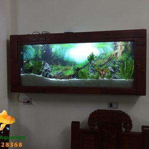 Bể treo tường thủy sinh cây thật nhà cô Ngân 789 – Mỹ Đình
