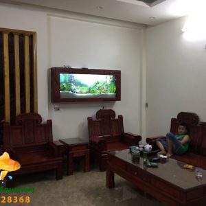 Bể thủy sinh cây thật nhà Anh Hải ở Việt Trì