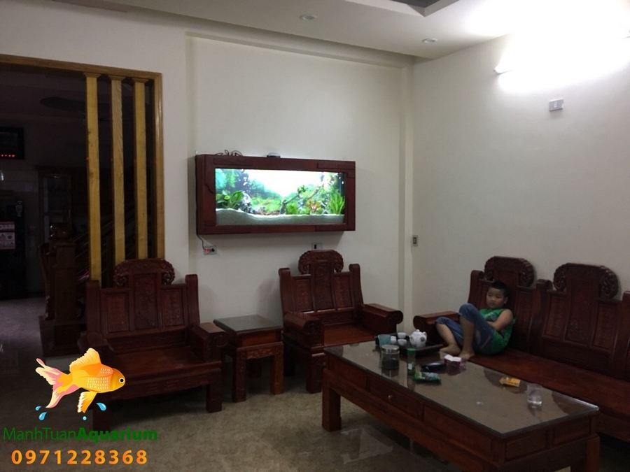 Bể thủy sinh cây thật nhà Anh Hải ở Việt Trì