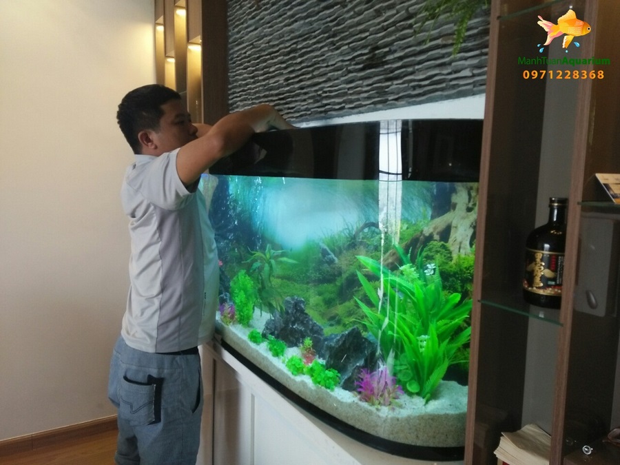 Giới thiệu bể thủy sinh của anh Hùng nhà Mỹ Đình