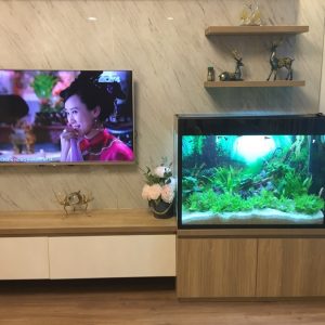 Bể thủy sinh cây thật nhà chị Hiền tòa P4 Timecity