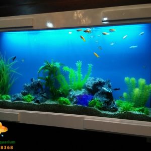 Bể treo tường thủy sinh cây nhựa cho ngôi nhà của bạn