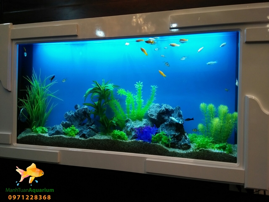 Bể treo tường thủy sinh cây nhựa cho ngôi nhà của bạn