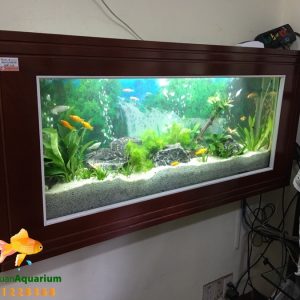 Bể treo tường thủy sinh cây thật nhà chị Hiền Vinaphone Mỹ Đình