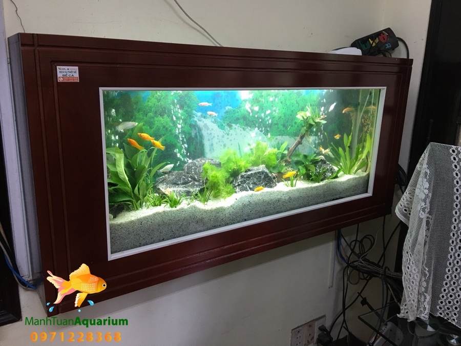 Bể treo tường thủy sinh cây thật nhà chị Hiền Vinaphone Mỹ Đình