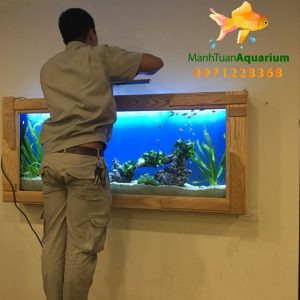 Bể treo tường thuỷ sinh cao cấp nhà chú Hùng chung cư Hòa Bình 7