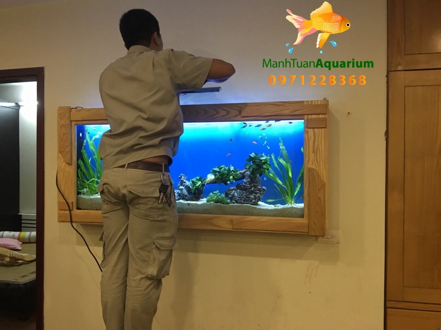 Bể treo tường thuỷ sinh cao cấp nhà chú Hùng chung cư Hòa Bình 7